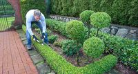Geben Sie dem Garten und Landschaftsbau in die zuverlässigen Hände von Allaround-Hausmeisterservice aus Vendersheim.